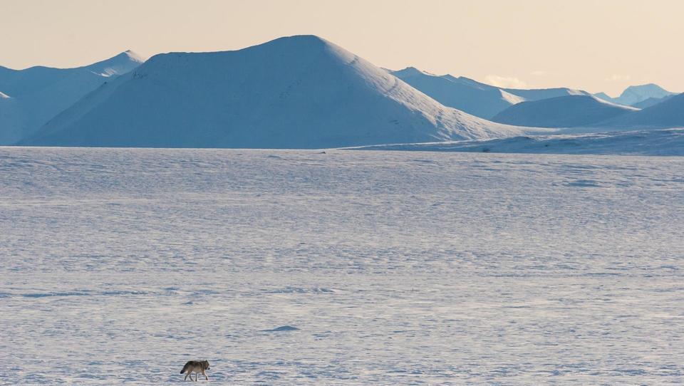 Trumpov pogrom nad naravnimi parki